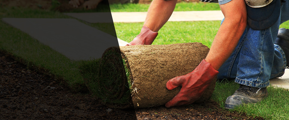 Moosic Landscapers